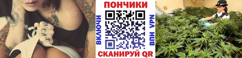 Бошки Шишки конопля  магазин  наркотиков  Дигора 